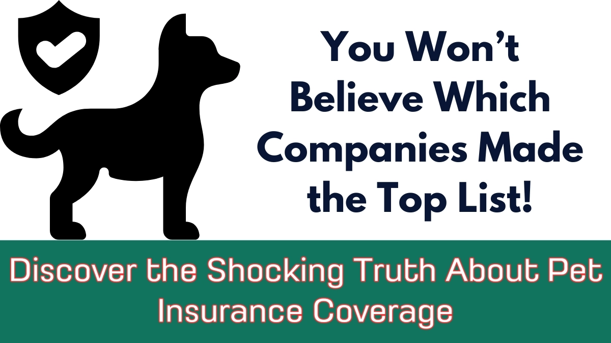 Best Pet Insurance Companies 2025