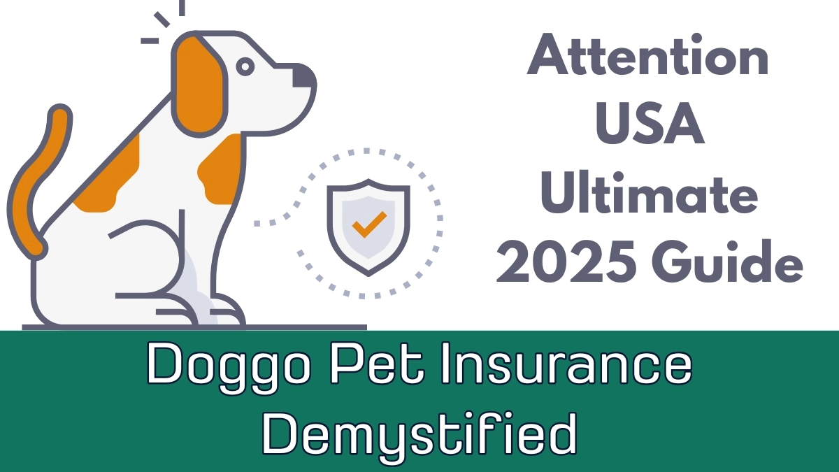 Doggo Pet Insurance Demystified