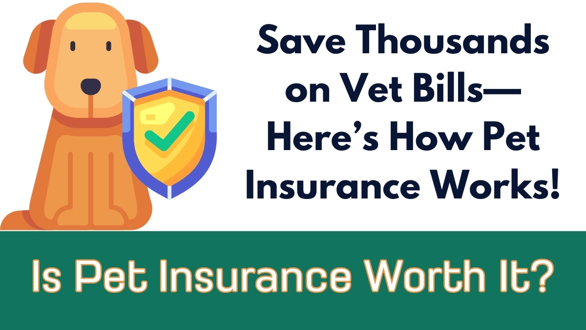 How Pet Insurance Works