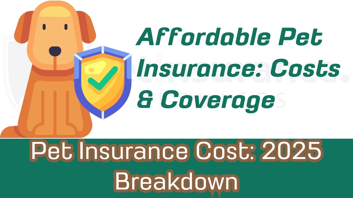 Pet Insurance Cost 2025 Breakdown