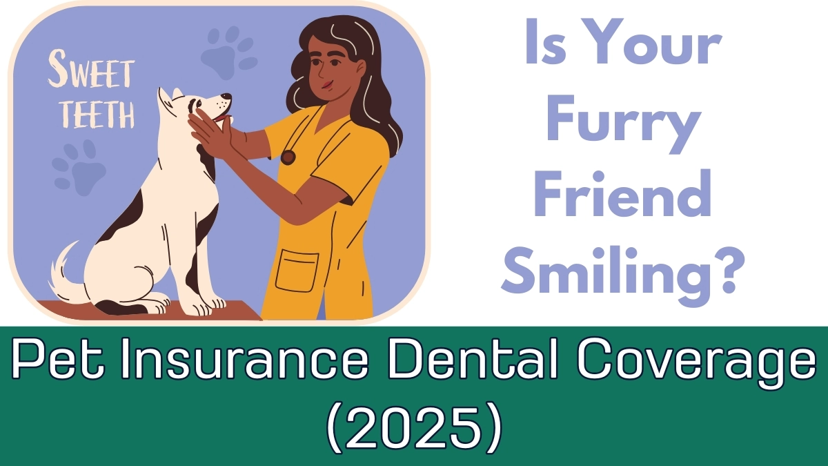 Pet Insurance Dental Coverage 2025
