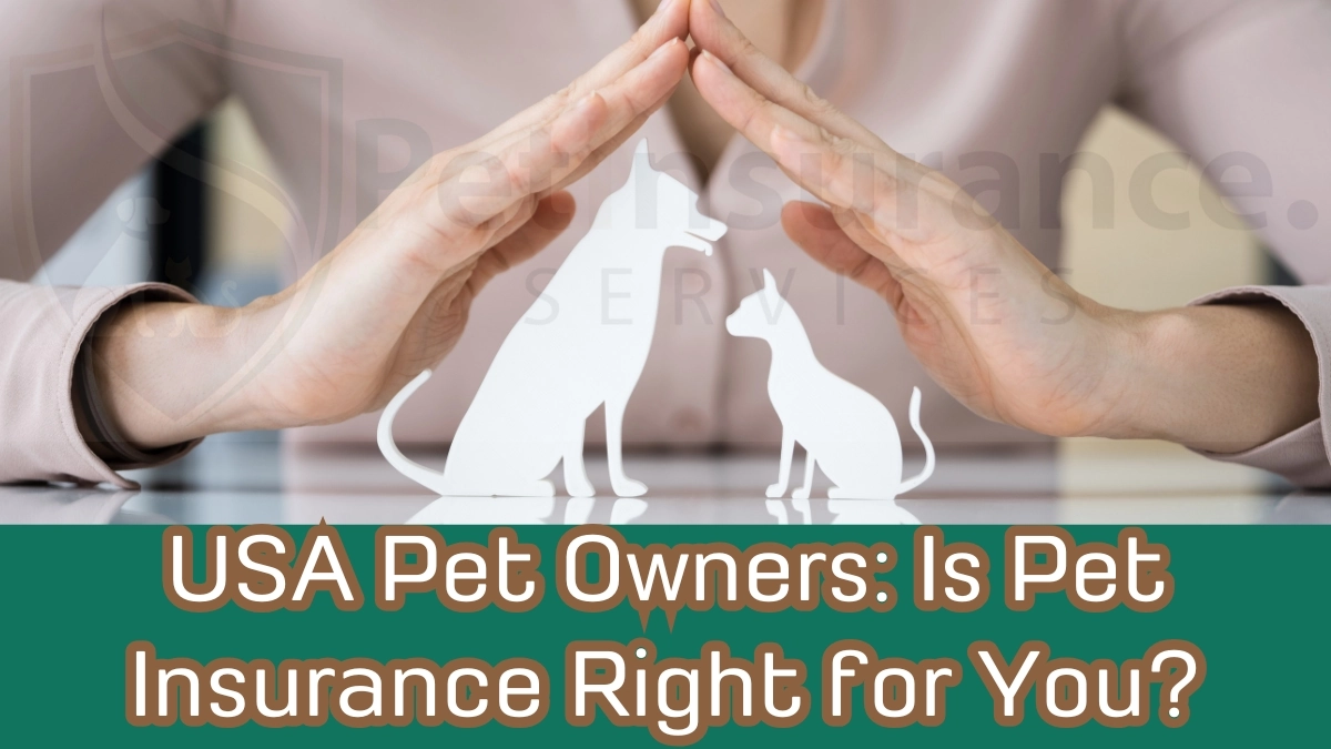 Pet Insurance Protect Your Furry Friend