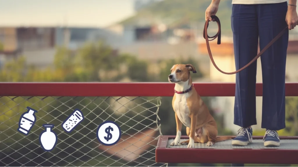 The Liability Safety Net